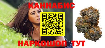 индика Ирбит