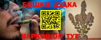 индика Ирбит
