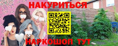 индика Ирбит