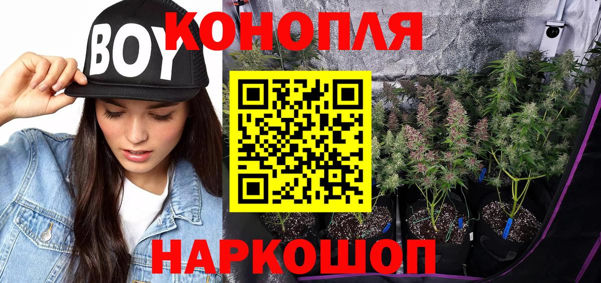 Бошки Шишки Amnesia  Вход с VPN  Людиново  Марихуана SATIVA & INDICA  МАРИХУАНА планчик 